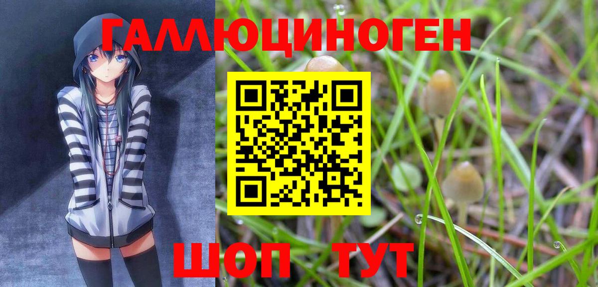 Железногорск  Псилоцибиновые грибы мицелий  Галлюциногенные грибы Psilocybe  Вход с VPN 